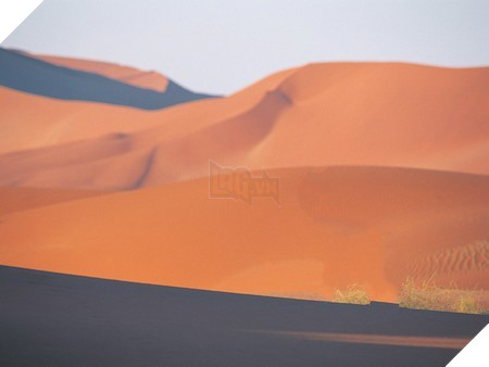 ... và sau khi được xử lý