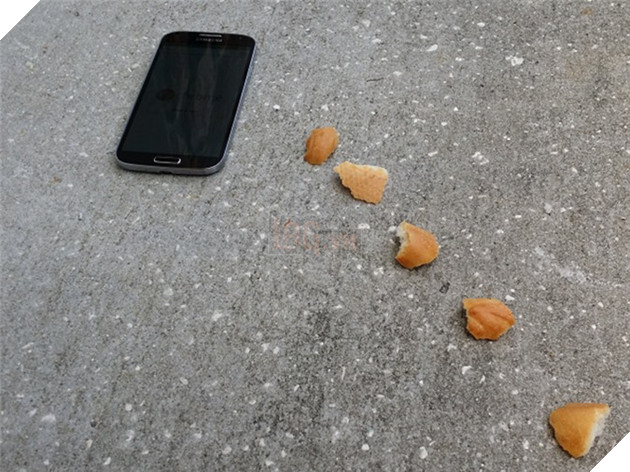 Smartphone ngày nay chứa rất nhiều thông tin quan trọng của bạn, từ