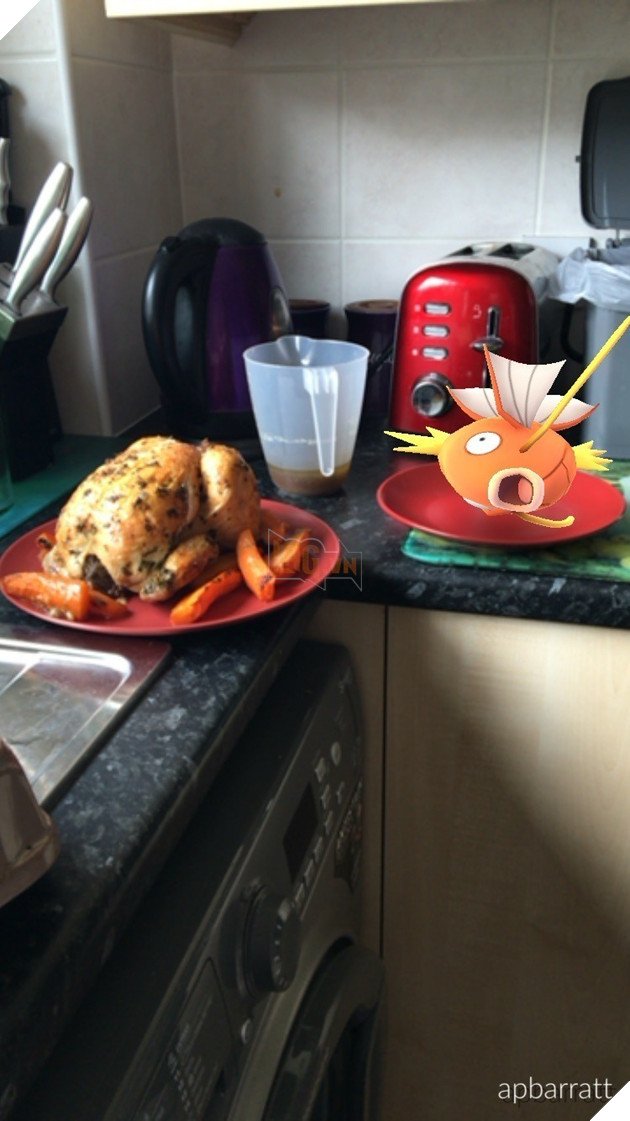  Tổng hợp Những tấm ảnh hoàn hảo của game thủ Pokemon Go 