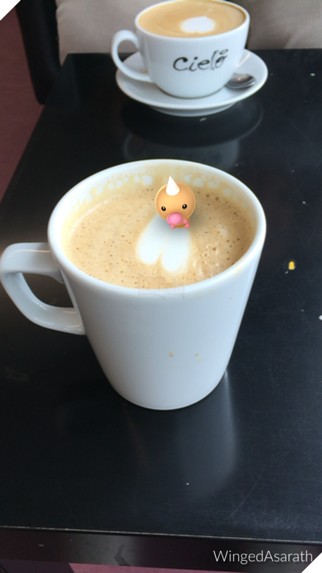  Tổng hợp Những tấm ảnh hoàn hảo của game thủ Pokemon Go  2