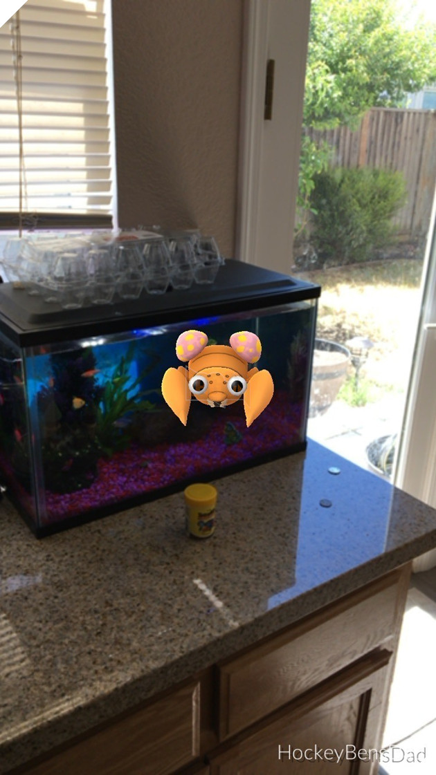  Tổng hợp Những tấm ảnh hoàn hảo của game thủ Pokemon Go  3