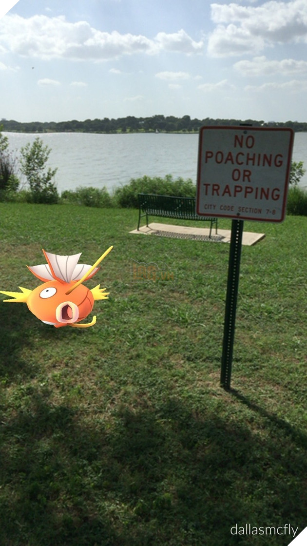  Tổng hợp Những tấm ảnh hoàn hảo của game thủ Pokemon Go  4