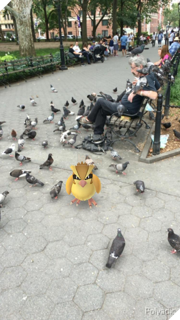  Tổng hợp Những tấm ảnh hoàn hảo của game thủ Pokemon Go  5