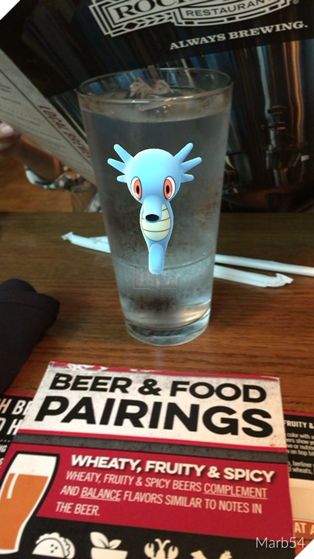  Tổng hợp Những tấm ảnh hoàn hảo của game thủ Pokemon Go  7