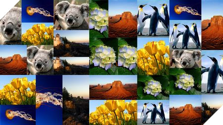 Phạm Thế Quang Huy