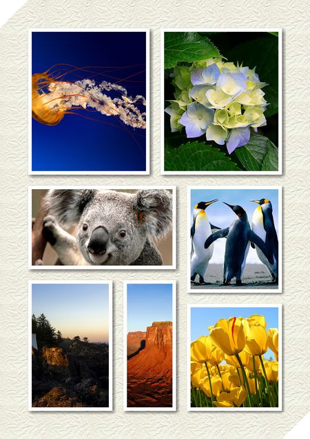 Phạm Thế Quang Huy