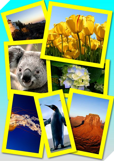 Phạm Thế Quang Huy