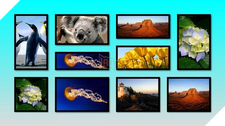 Phạm Thế Quang Huy