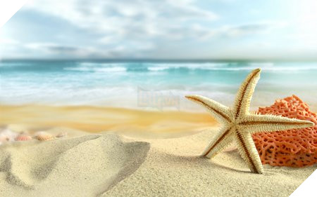 Ngoài bộ sưu tập hình nền kể trên, bạn cũng có thể download