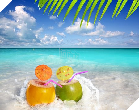 Ngoài bộ sưu tập hình nền kể trên, bạn cũng có thể download