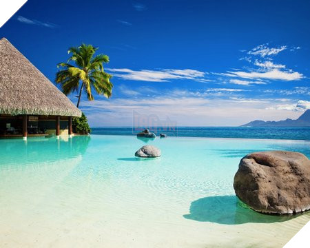 Ngoài bộ sưu tập hình nền kể trên, bạn cũng có thể download