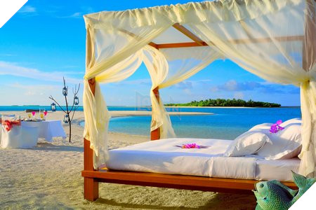 Ngoài bộ sưu tập hình nền kể trên, bạn cũng có thể download