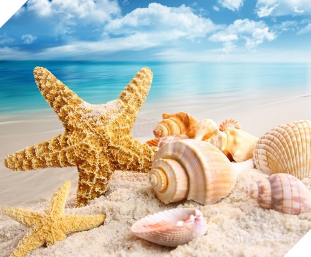 Phạm Thế Quang Huy