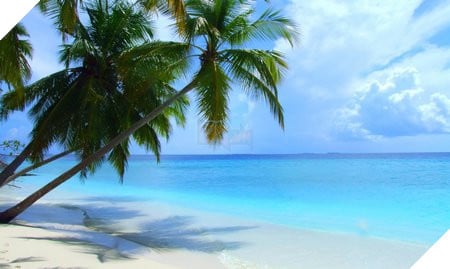 Ngoài bộ sưu tập hình nền kể trên, bạn cũng có thể download