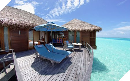 Ngoài bộ sưu tập hình nền kể trên, bạn cũng có thể download