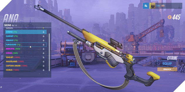 Overwatch: Tổng hợp tất cả các trang phục của Ana 15