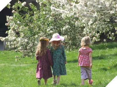 Thủ thuật loại bỏ các chi tiết thừa trên hình ảnh 11