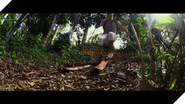 
Màn trượt tuyết trong rừng vô cùng... bá đạo.
