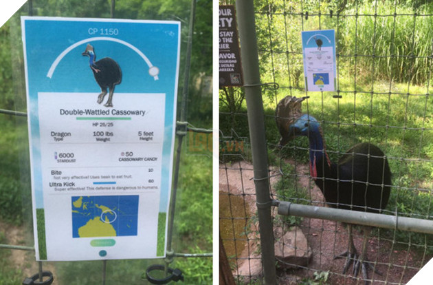 Pokemon GO hot đến nỗi một sở thú tại Mỹ cũng tìm cách "ăn theo"