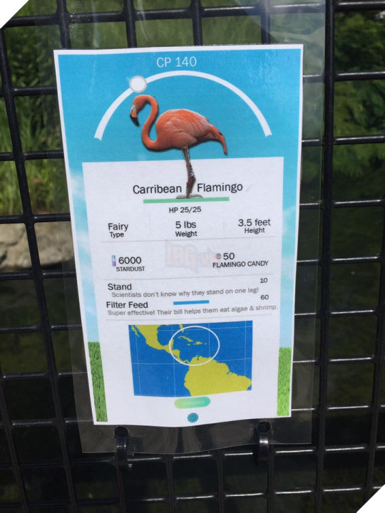 Pokemon GO hot đến nỗi một sở thú tại Mỹ cũng tìm cách "ăn theo"
