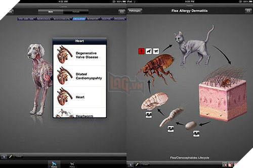 10 ung dung sieu dat tren App Store hinh anh 1