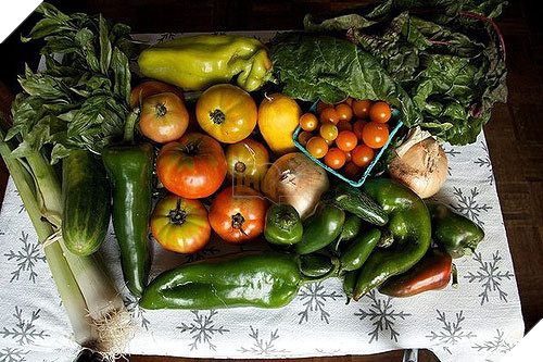 10 ung dung sieu dat tren App Store hinh anh 5