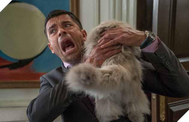 Bố Tôi Là Mèo - Phim hài hấp dẫn không nên bỏ qua trong tháng 08