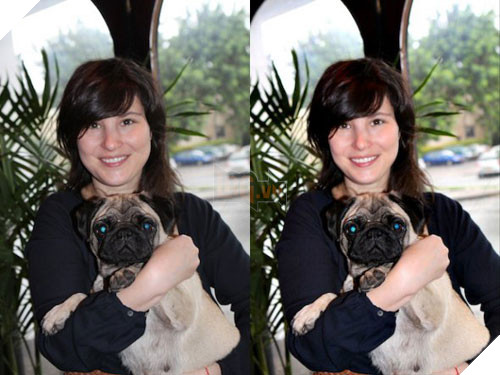 'Vit hoa thien nga' voi ung dung iPhone Pixtr hinh anh 3