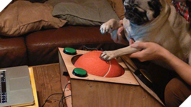 11 tay cầm điều khiển "quái dị" nhất trong lịch sử video game