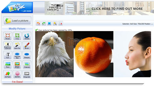 12 website giup thay the ung dung Photoshop hinh anh 10
