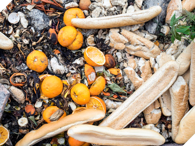 Ứng dụng “chia sẻ thức ăn” giúp giảm lãng phí tại Tây Ban Nha. 