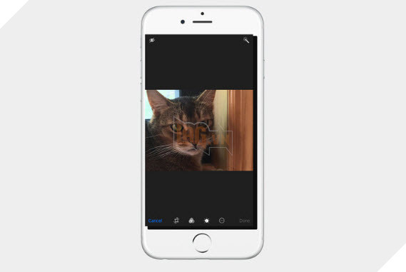 9 tính năng bí mật về iOS 10 Apple không nhắc tới trong sự kiện WWDC.  2