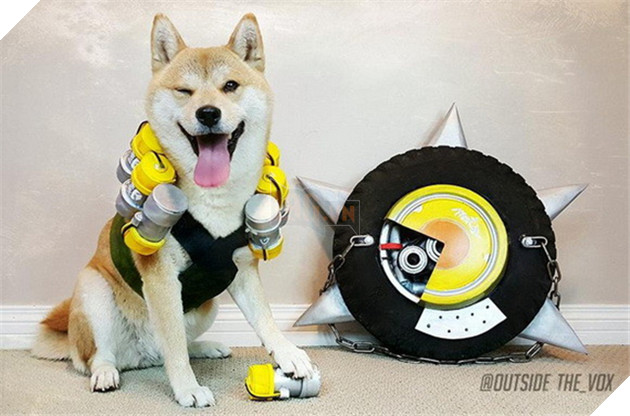 Chú chó này đã khiến các nhân vật Overwatch trông cực kỳ dễ thương