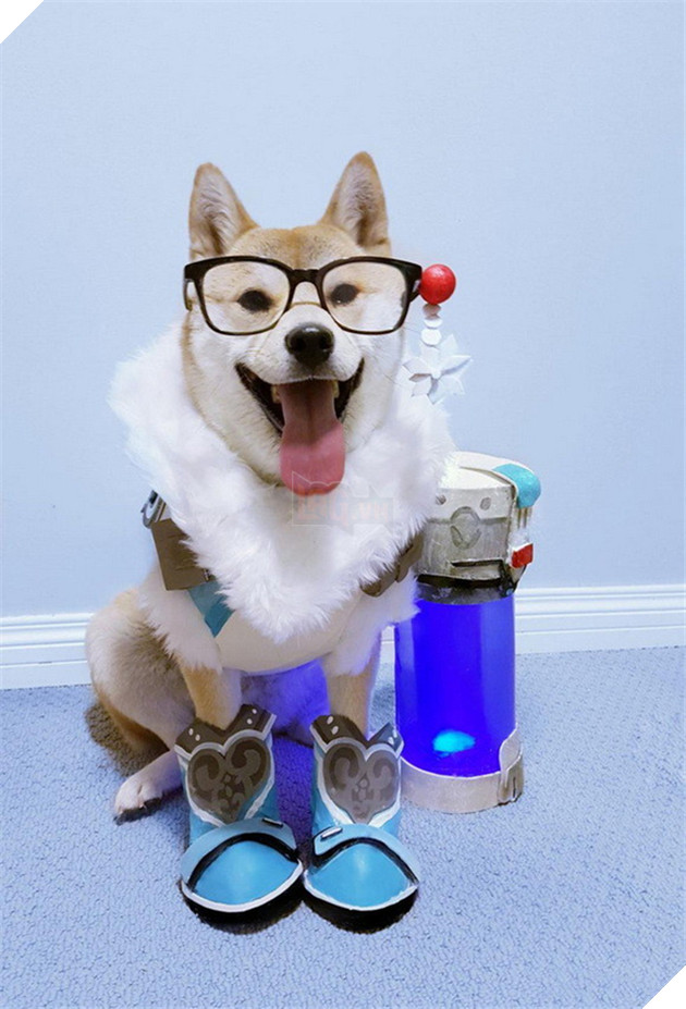 Chú chó này đã khiến các nhân vật Overwatch trông cực kỳ dễ thương