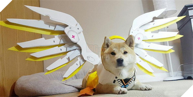 Chú chó này đã khiến các nhân vật Overwatch trông cực kỳ dễ thương