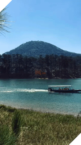 Fyuse ứng dụng chụp ảnh 3D 360 độ. 