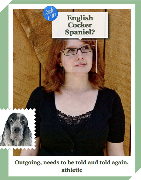 Microsoft tung ứng dụng “Bạn là giống chó nào”