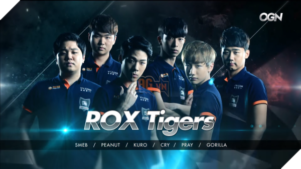 Hạt giống ROX Tiger