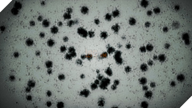 
t-Virus dưới ống kính hiển vi
