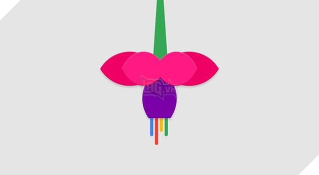 Google âm thầm phát triển hệ điều hành mới với tên gọi “Fuchsia”