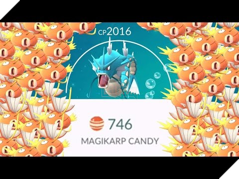 Pokemon GO - Muốn tiến hóa Magikarp phải đi bộ 400 km