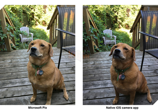 Microsoft tung ứng dụng camera tích hợp trí tuệ nhân tạo 2