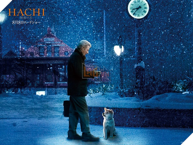 Kết quả hình ảnh cho hachiko