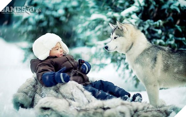 Trí thông minh của chó tương đương với trẻ từ 2 – 3 tuổi