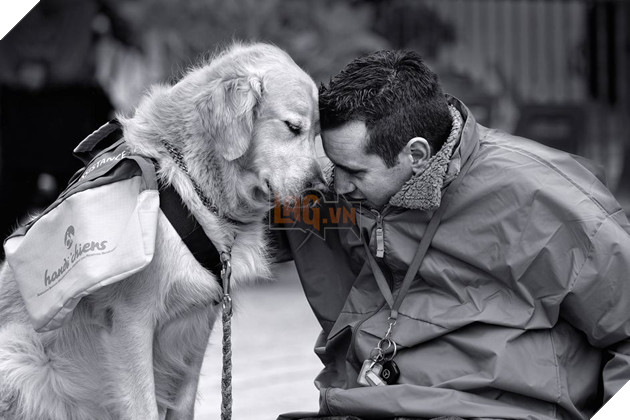 Kết quả hình ảnh cho bond between dog and owner