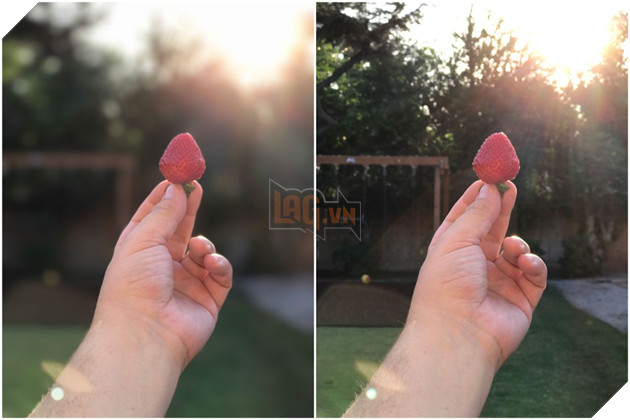 iPhone 7 Plus camera