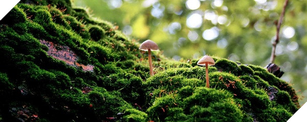 Ứng dụng CloudHD nâng cao chất lượng ảnh đăng tải trên Facebook