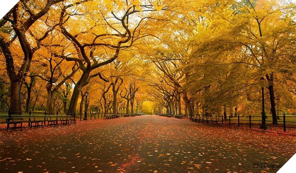 Ứng dụng CloudHD nâng cao chất lượng ảnh đăng tải trên Facebook