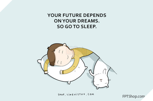Những hình ảnh vui mà chỉ những người thích ngủ mới hiểu
