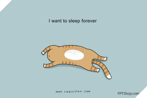 Những hình ảnh vui mà chỉ những người thích ngủ mới hiểu